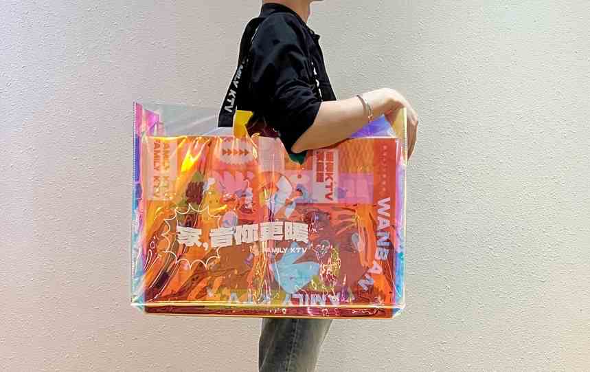 toy in woman bag