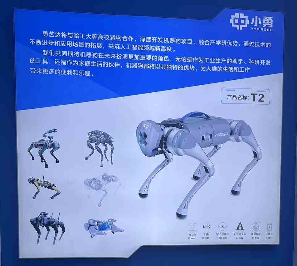 YYD robot dog