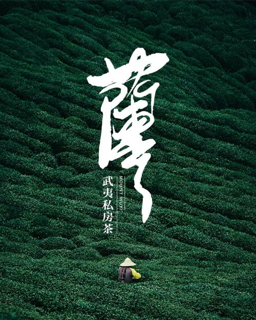 OPD DESIGN|Brand Design