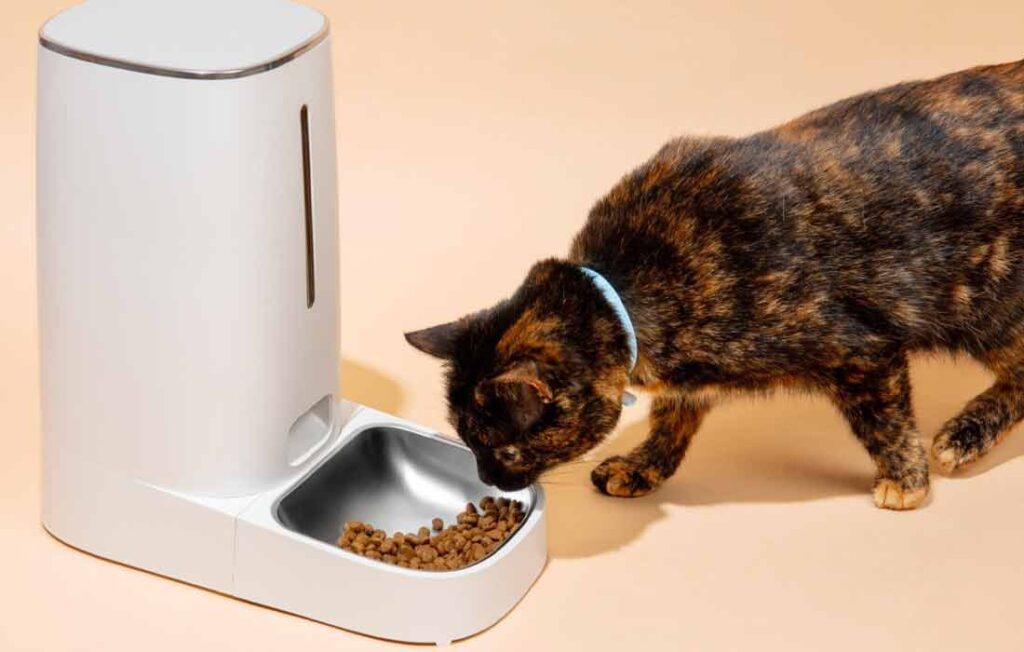 pet1